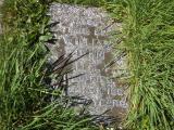 image of grave number 264578